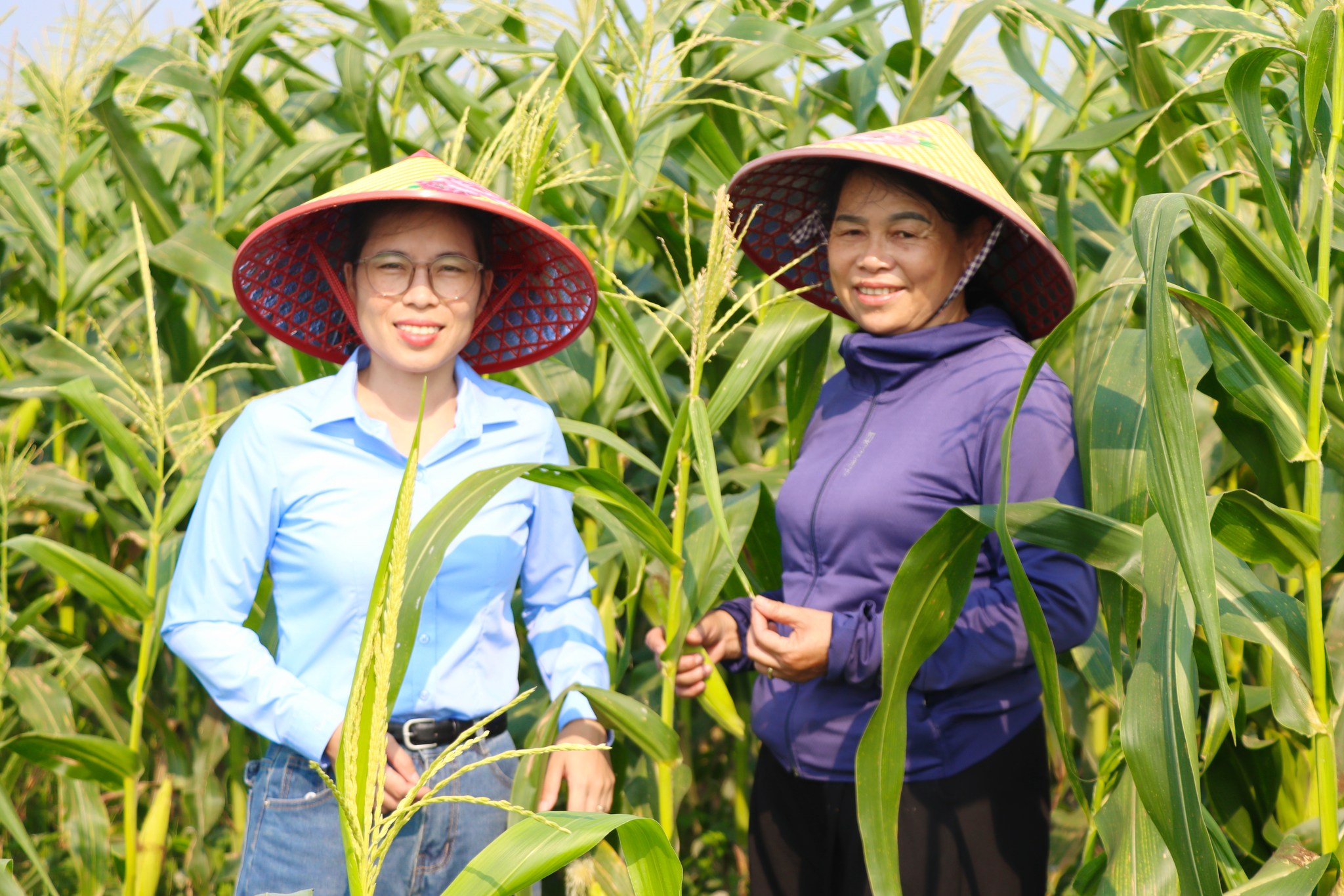 Thôn Đông Sơn (xã Kỳ Xuân) – Đổi thay từ những khu vườn kiểu mẫu