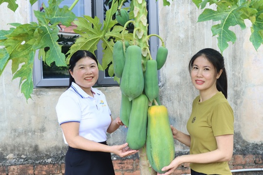 Xuân Thắng duy trì bền vững mô hình “Nhà sạch, vườn đẹp”