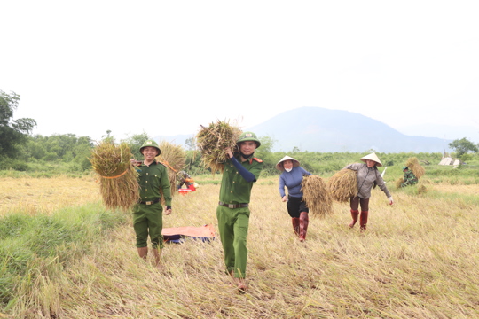 Hội viên và lực lượng xã Kỳ Xuân chung tay “cứu lúa” cùng người dân 