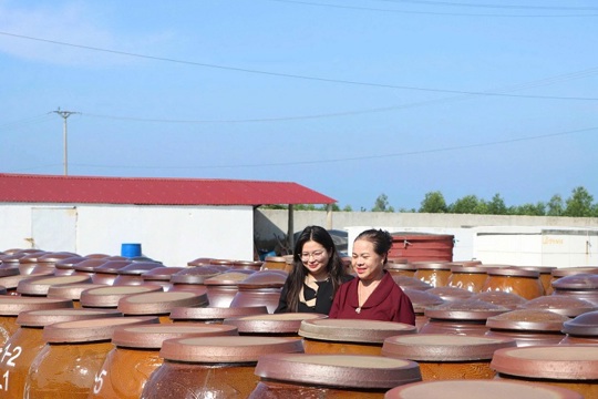 Nước mắm Phú Khương – Từ vị biển Kỳ Xuân vươn tầm OCOP 5 sao