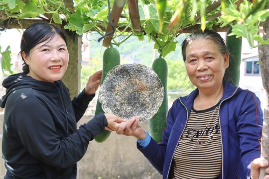 Bánh đa Kỳ Xuân – Từ món ăn dân dã đến đặc sản quê hương