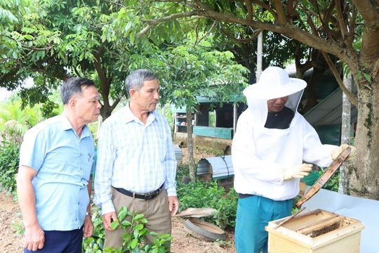 Trăn trở đầu ra cho nghề nuôi ong lấy mật