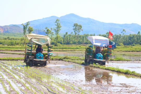 Kỳ Xuân đẩy mạnh ứng dụng một số kỹ thuật trong hệ thống thâm canh tổng hợp (SRI) để sản xuất lúa, gắn với liên kết tiêu thụ sản phẩm